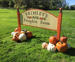 Brimley's Pumpkin Farm Sign
